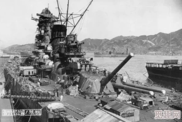 2024年精选二战射击单机游戏大全：趣味横生的二战题材射击手游排名