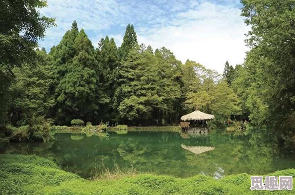 梦的第七章：萌新玩家前期卡池抽取策略与建议指南