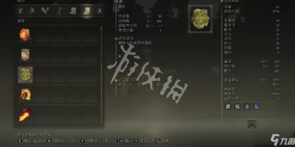 探索艾尔登法环：分析哪个骨灰具备最强防御力（最肉）的特性