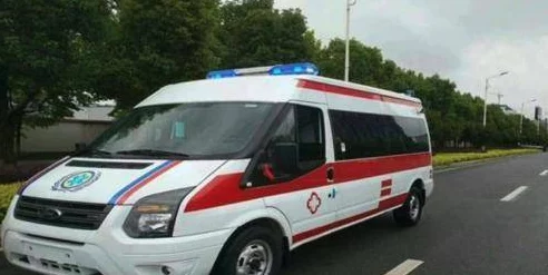 《救护车生活：救护员模拟器》正式公布发售日期，预计明年震撼上线