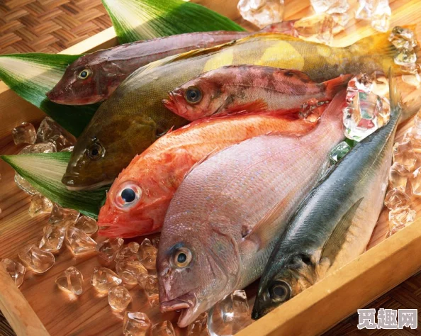 神仙道v8版福利大揭秘：海量黄鱼派放送，尊享专享豪华礼包等你来领