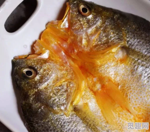 神仙道v8版福利大揭秘：海量黄鱼派放送，尊享专享豪华礼包等你来领