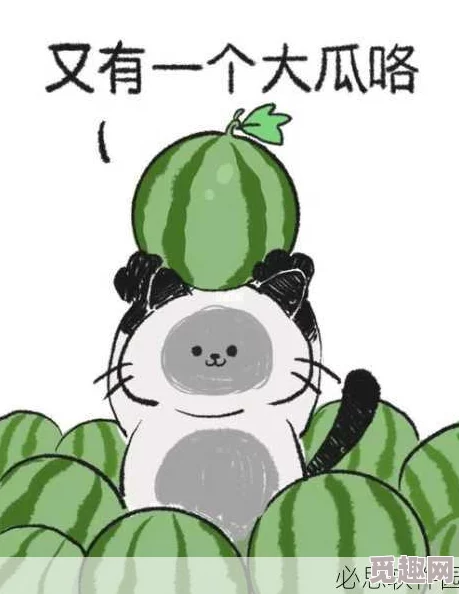 51吃瓜今日吃瓜必吃胖猫，网友热议胖猫背后的故事与趣味瞬间引发广泛关注