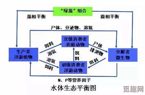 淑荣说把船开到湖中间：探讨湖泊生态系统的平衡与可持续发展重要性与影响因素分析