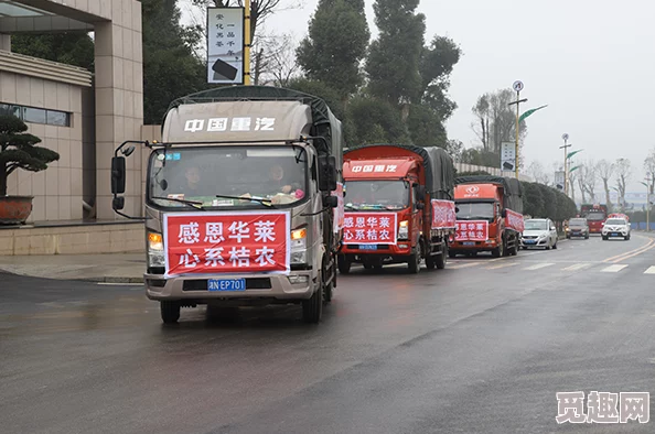 fruit回家永不迷路：智能导航技术助力果农精准定位，提升运输效率与安全性