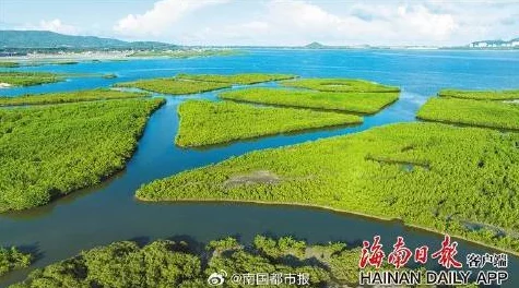 天涯海角妈妈绿意盎然，生态保护与可持续发展携手共进，共创美丽家园新篇章