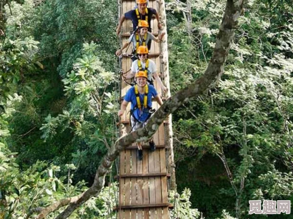 东南亚10一12仙踪林的旅游景点：探访神秘而迷人的自然奇观，体验独特的文化与风情，享受难忘的旅行时光