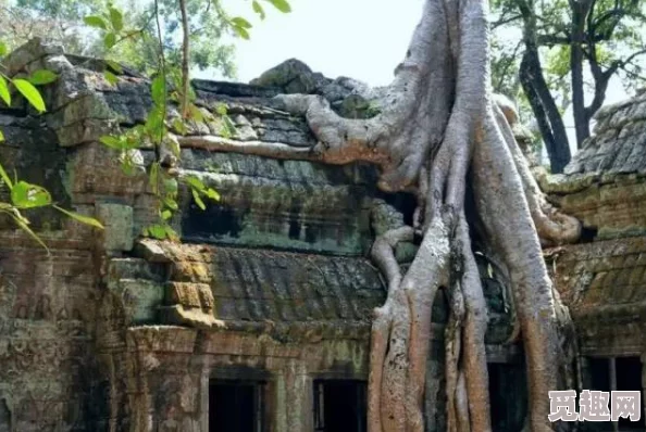 东南亚10一12仙踪林的旅游景点：探访神秘而迷人的自然奇观，体验独特的文化与风情，享受难忘的旅行时光