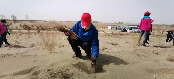 太极熊猫黄沙使者全面游戏攻略：精准掌握黄沙使者战斗与探险技巧