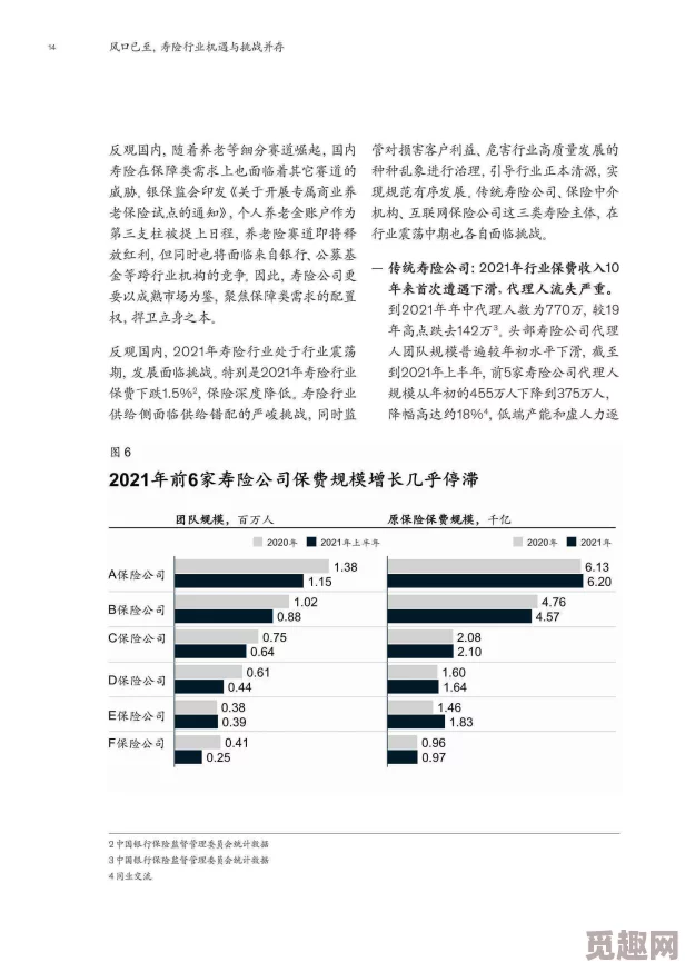 www.fenfencao：深入分析当前市场动态与未来发展趋势，助力企业把握机遇，实现可持续增长