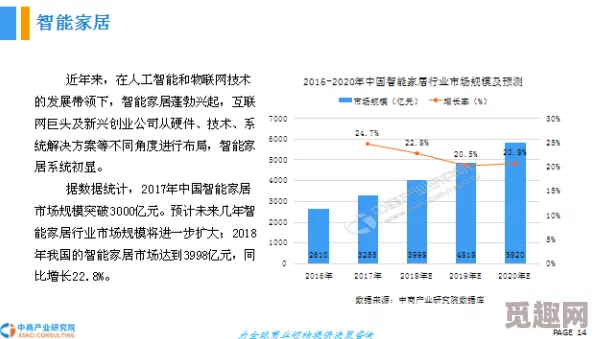 2024年八月网络热词：新兴趋势与社会现象的深度分析与解读