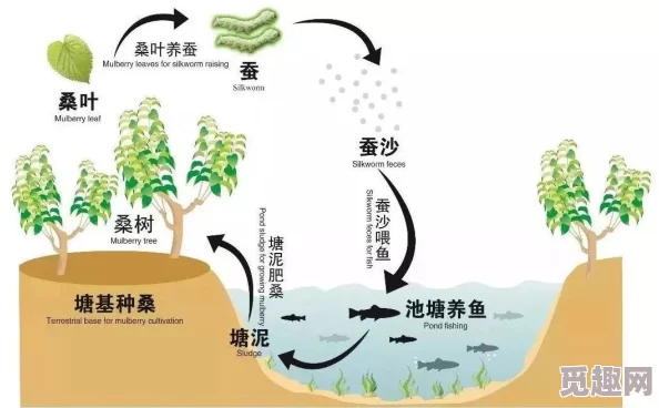 优质灌溉系统gl：提升农业生产效率与水资源利用的关键技术研究与应用分析