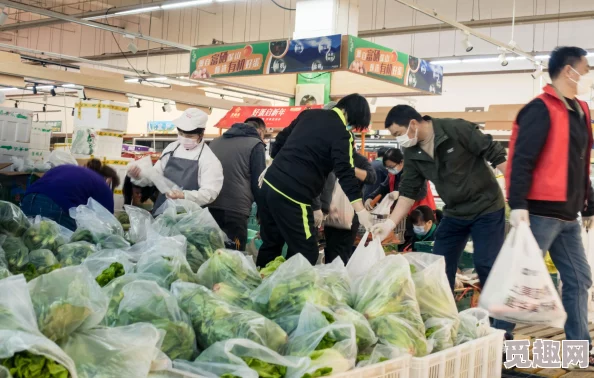 五星食材在料理次元中的出货时间全览：精准掌握高级食材获取时机