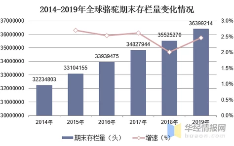 欧美一级特黄毛片：最新动态与行业趋势分析，探讨其在全球市场中的影响力及未来发展方向