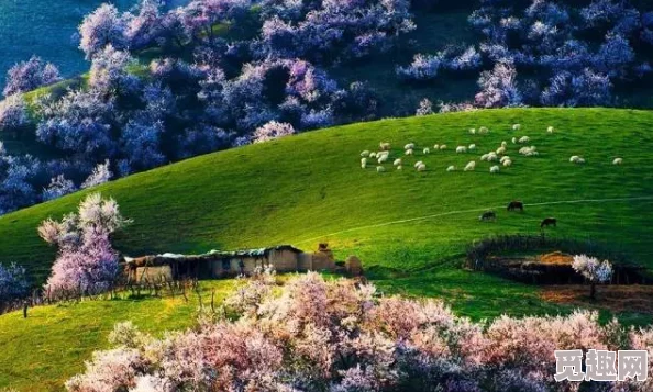 亚洲一区图片，展现了这个地区独特的文化和风景，让人向往不已