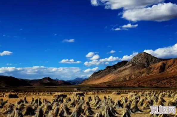 亚洲一区图片，展现了这个地区独特的文化和风景，让人向往不已