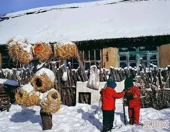 农村一级毛片，展现了乡村生活的真实面貌，让人感受到浓厚的人情味和自然之美