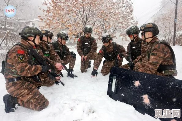 《反恐精英1.5》中雪地地图深度解析：网友热议其经典与策略性并存之魅力