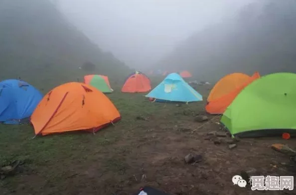 久久久男女野外野战最新消息近日有网友在郊外拍摄到一对情侣在山间小路旁的草丛中亲热的画面引起关注