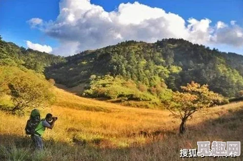 仙林踪在深山老林中寻找传说中的仙人踪迹，探寻自然与超自然的交汇点