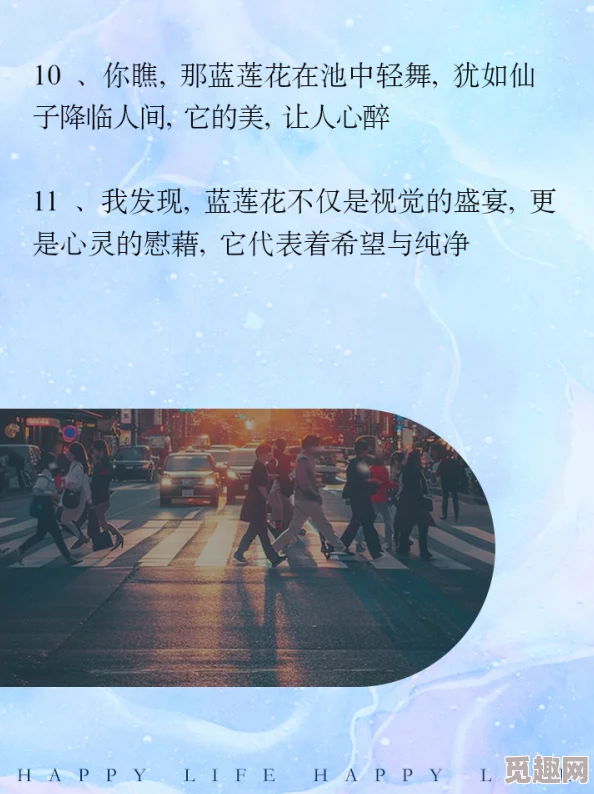 蓝晓晓傅时钧全部章节花心野玫瑰绽放自我勇敢追梦拥抱未来