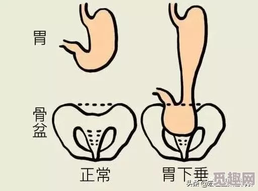 道医by拉棉花糖的兔子修炼渐入佳境，悬壶济世名声渐起