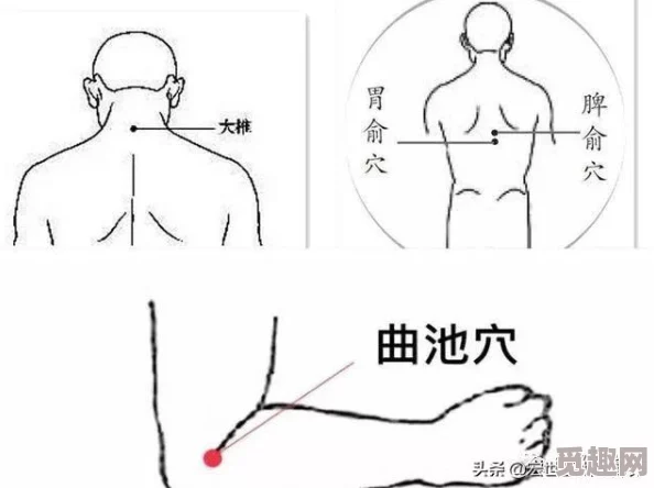 道医by拉棉花糖的兔子修炼渐入佳境，悬壶济世名声渐起