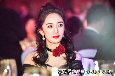 豪门大凶器美妇后宫家族宴会暗流涌动美妇巧妙周旋步步为营