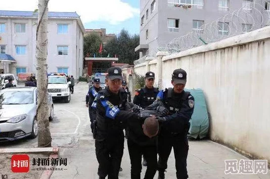 小情人偷马头近日警方成功破获一起马头失窃案，嫌疑人已被抓获并供认不讳