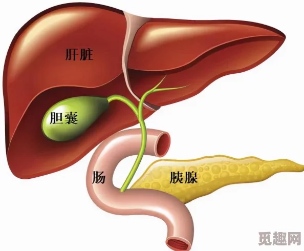 成人短视频疑似流出多版本引发网友热议平台已介入调查