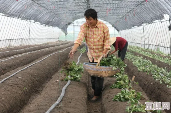 迈开腿让我看看你的草莓声音内容低俗令人不适建议远离此类信息