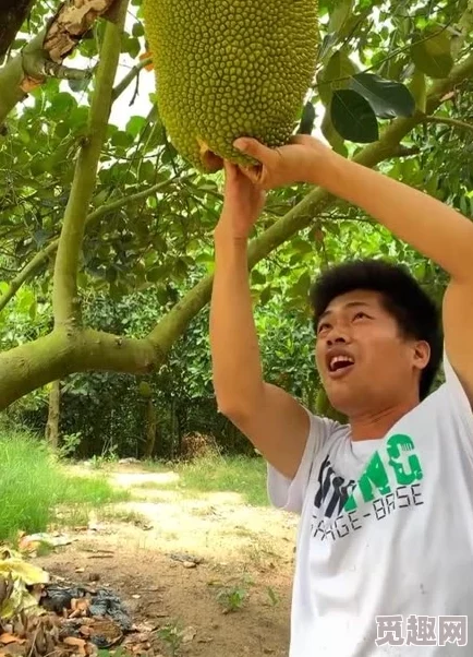 菠萝菠萝蜜免费高清观看视频现已更新至第10集精彩内容抢先看