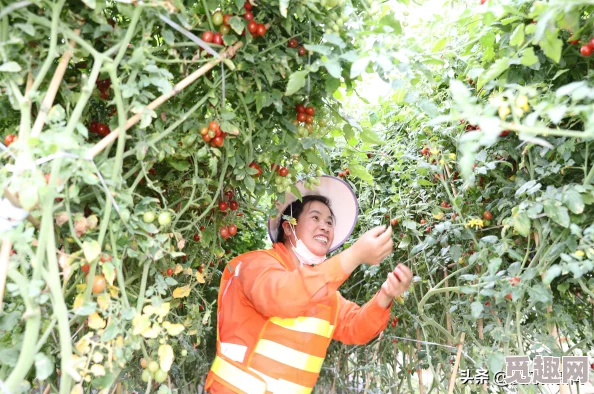 揭秘！迷你世界坐骑锄地新技巧：如何用坐骑高效耕地全攻略爆料