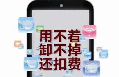 无码午夜为何其展现了原始未加工的画面吸引了一些观众